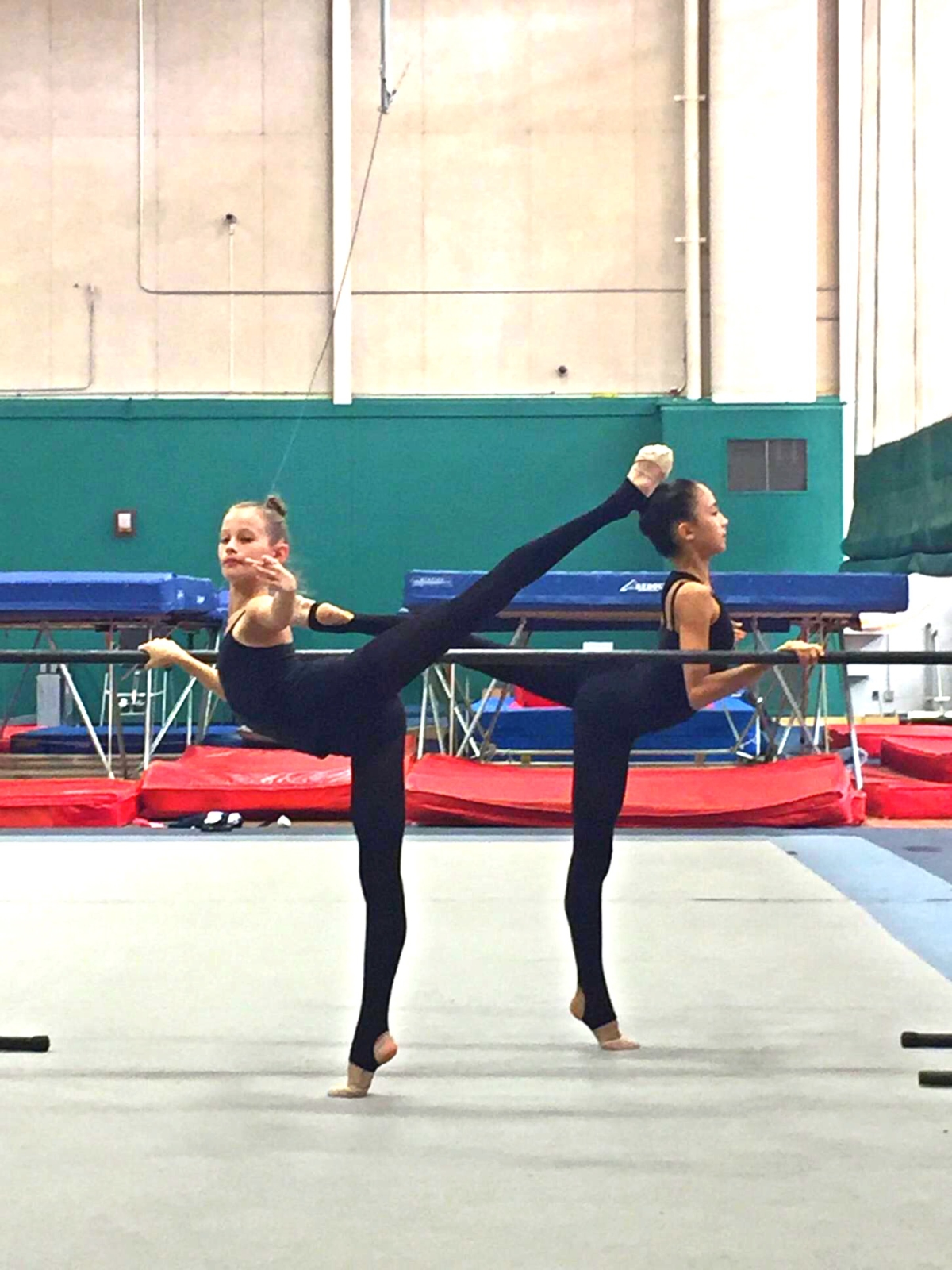 Ballet With Sonya EuroGymnastics Rhythmic Academy