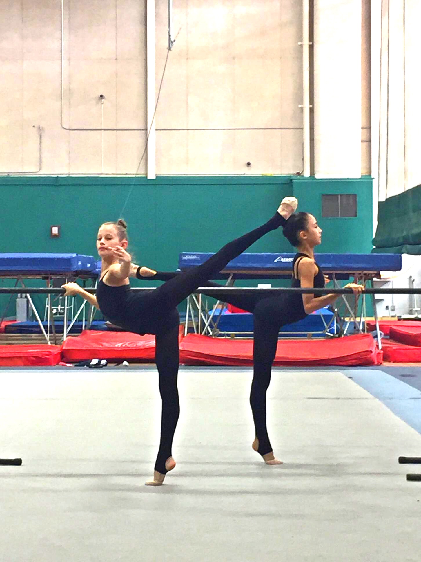 EuroGymnastics - Rhythmic Gymnastics in Orange County